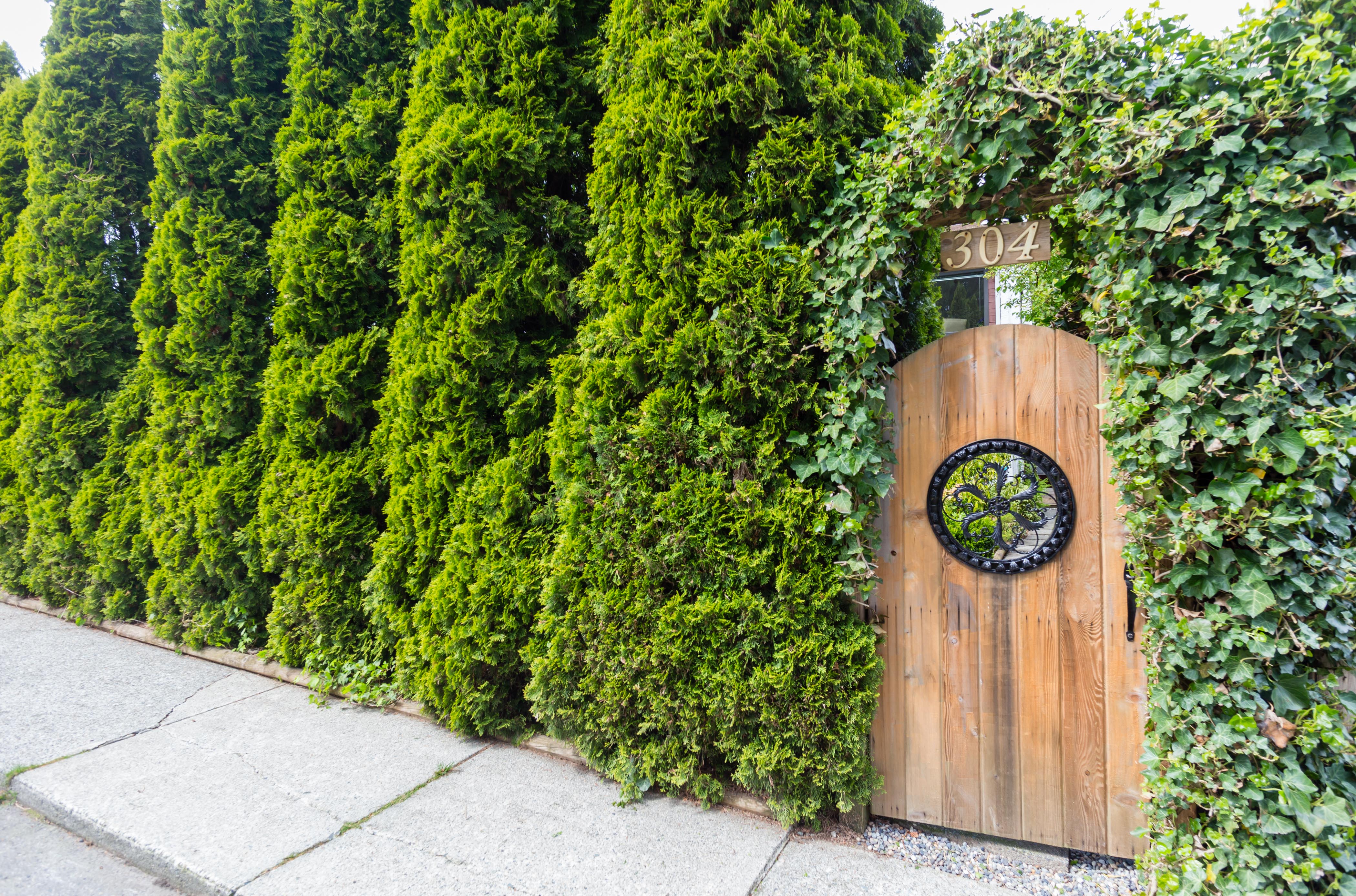 304 E 21st Street, North Vancouver 22