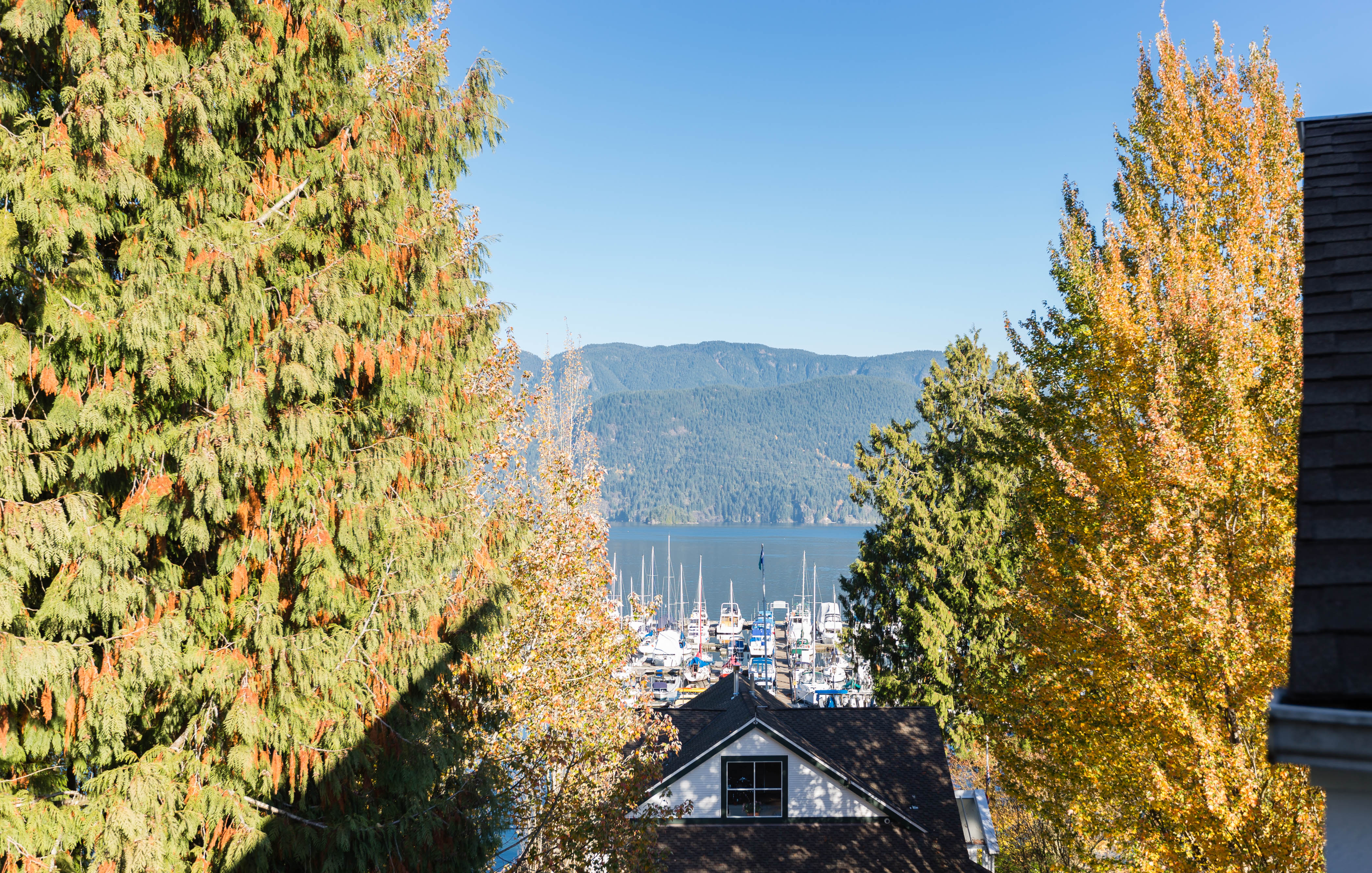 303-4390 Gallant Avenue, North Vancouver 7