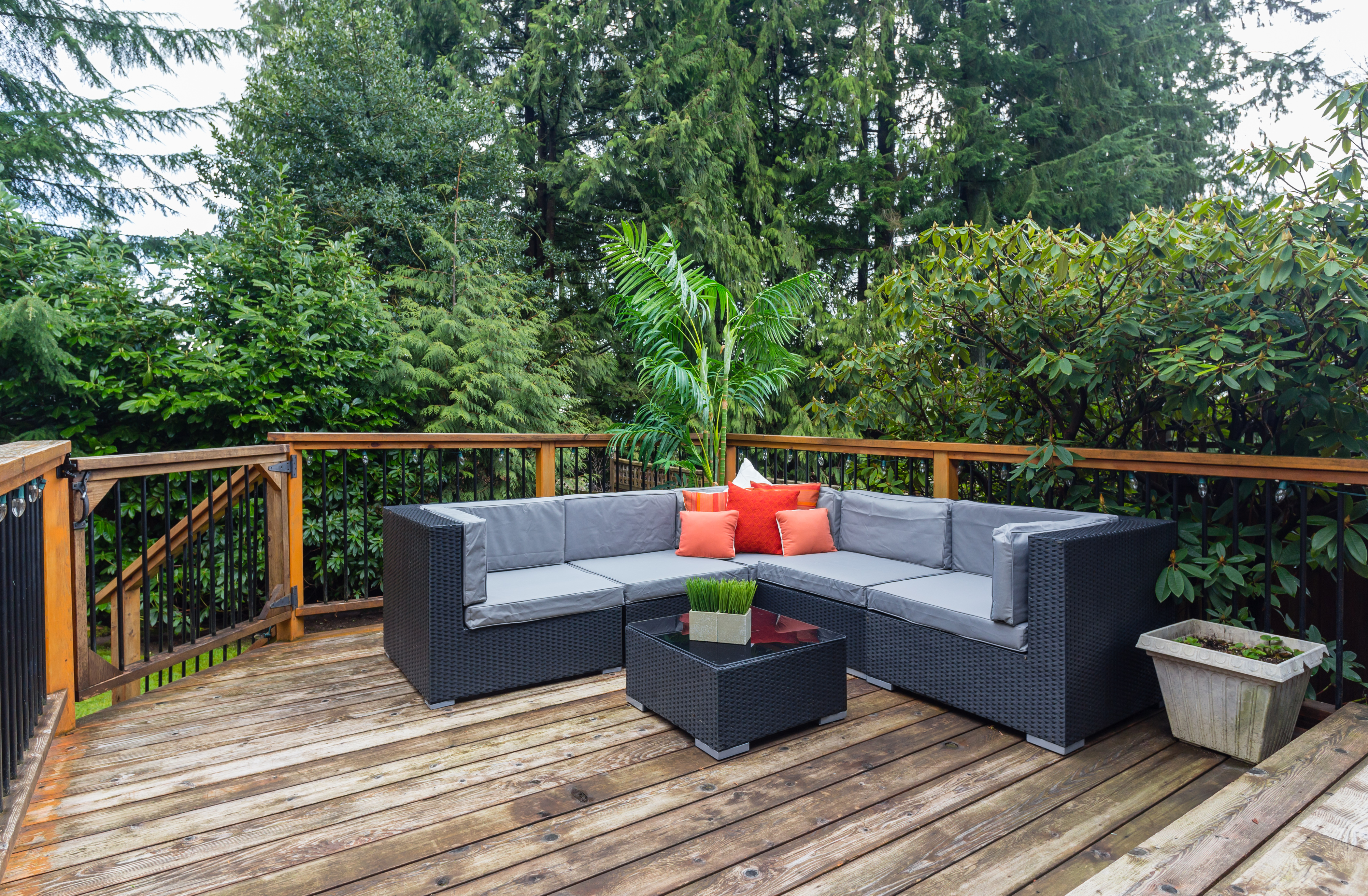 829 Clements Ave, North Vancouver 20