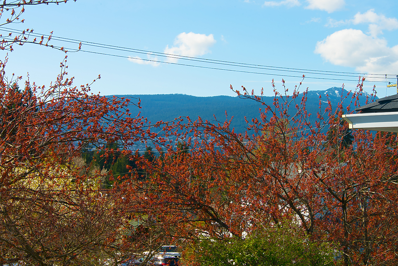 1644 B Mahon Ave, Central Lonsdale, North Vancouver 22