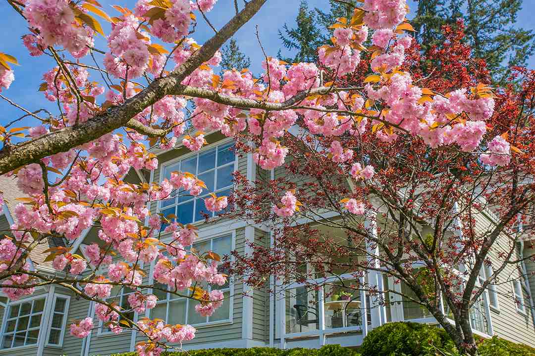 #304 - 3373 Capilano Crescent, North Vancouver 21