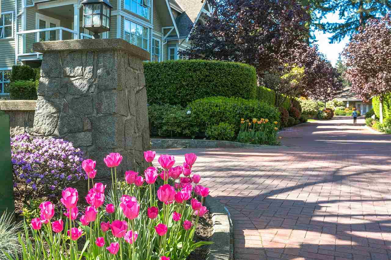 #304 - 3373 Capilano Crescent, North Vancouver 22