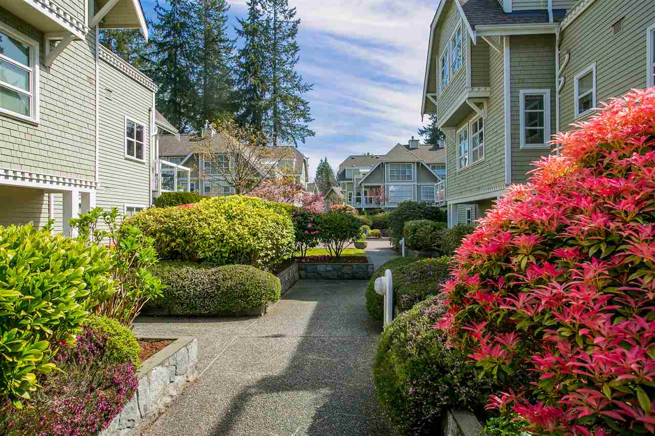 #304 - 3373 Capilano Crescent, North Vancouver 24