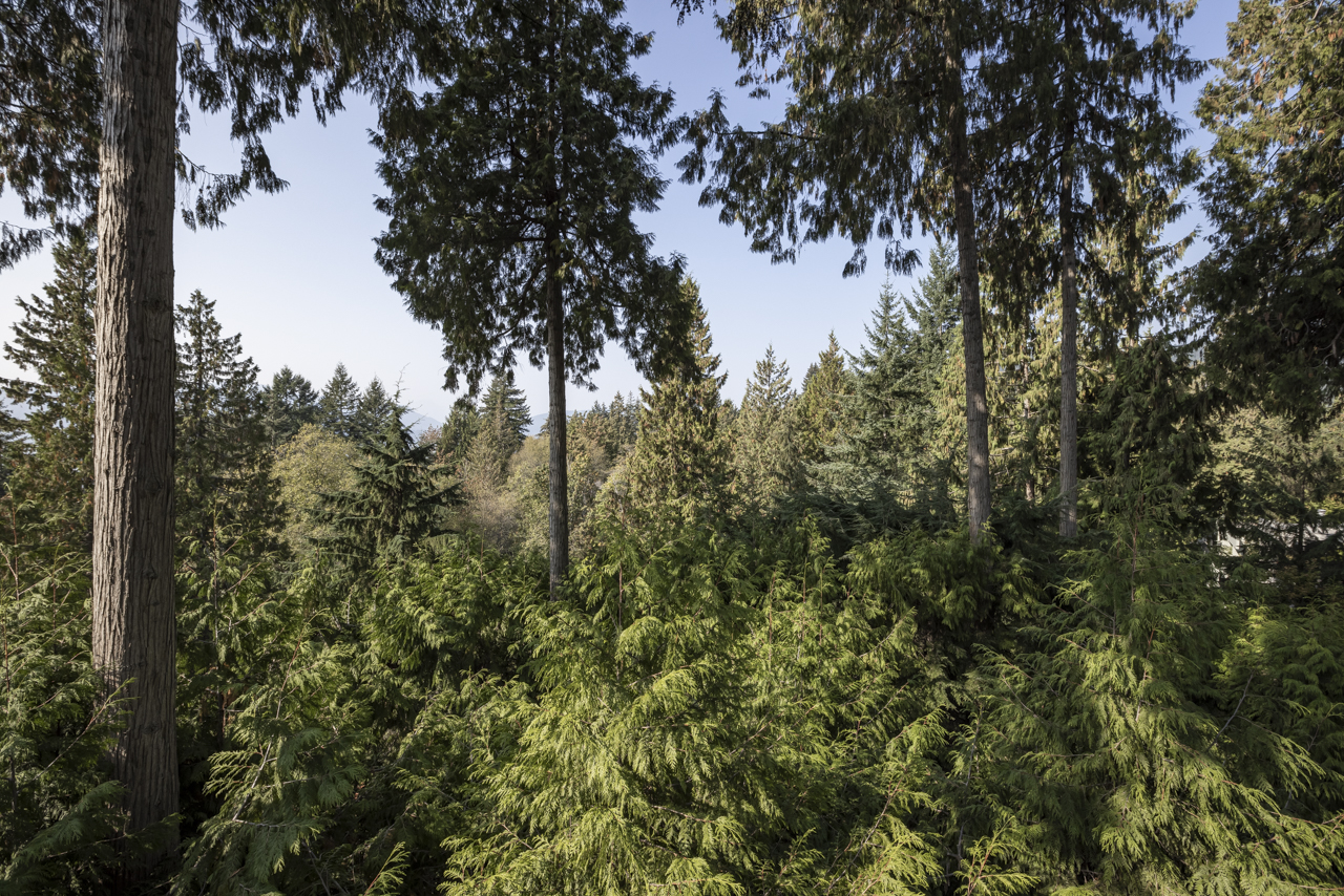 5341 Montiverdi Place, West Vancouver 47