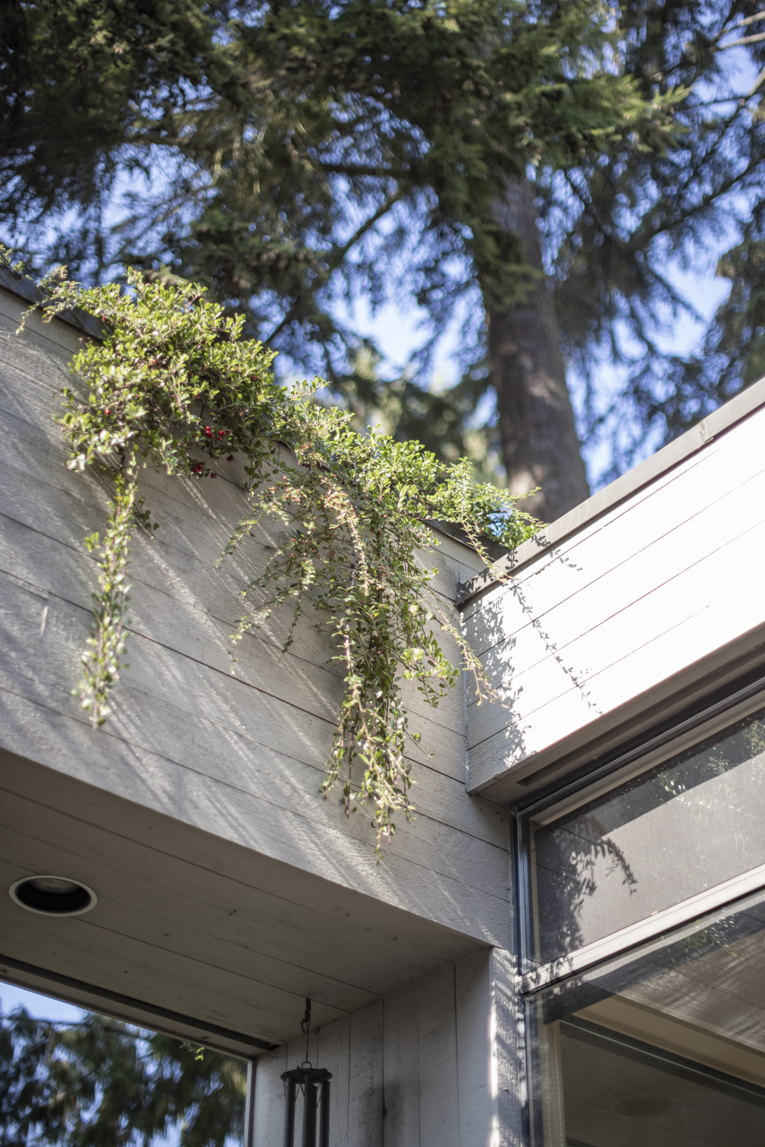 5341 Montiverdi Place, West Vancouver 52