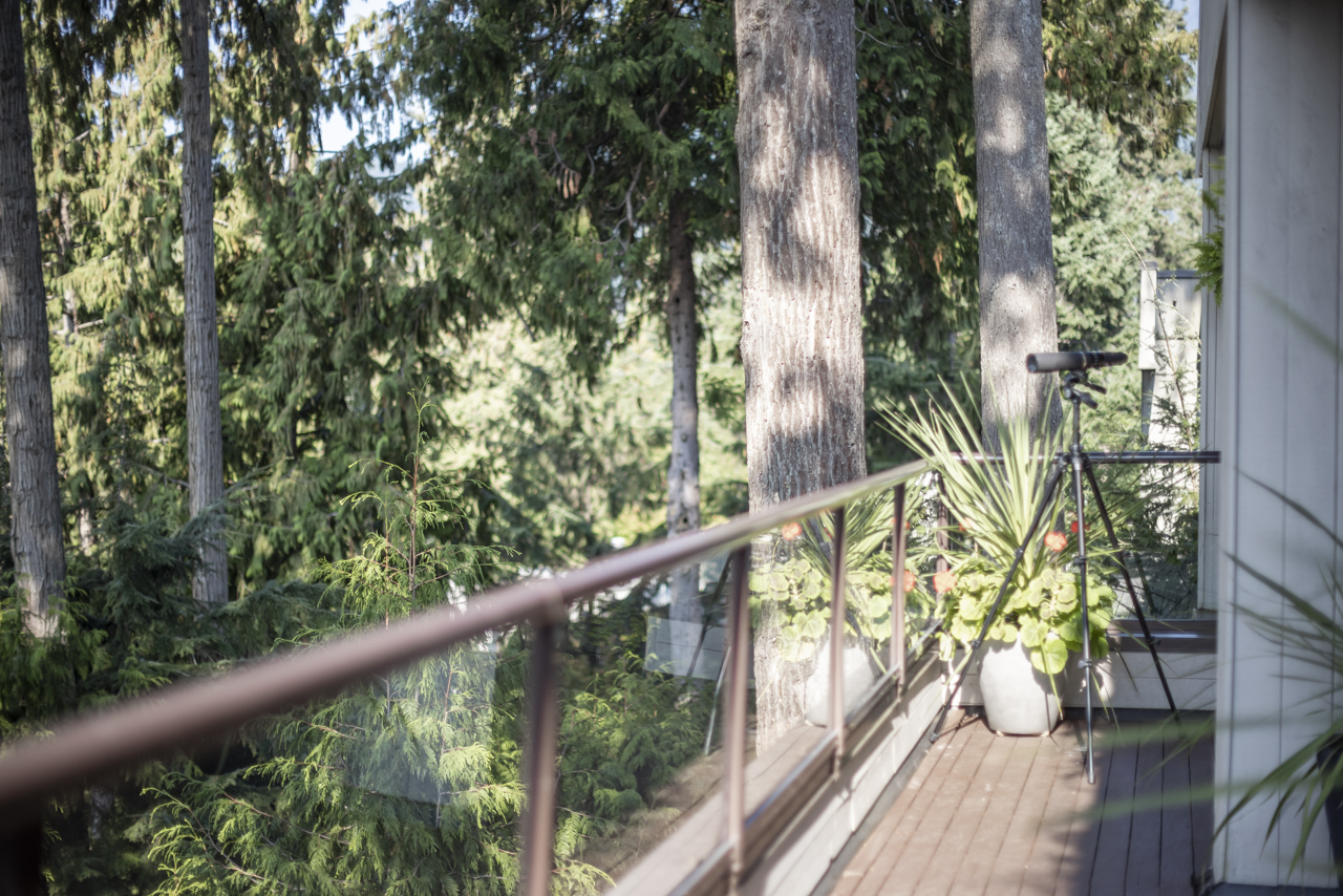 5341 Montiverdi Place, West Vancouver 54