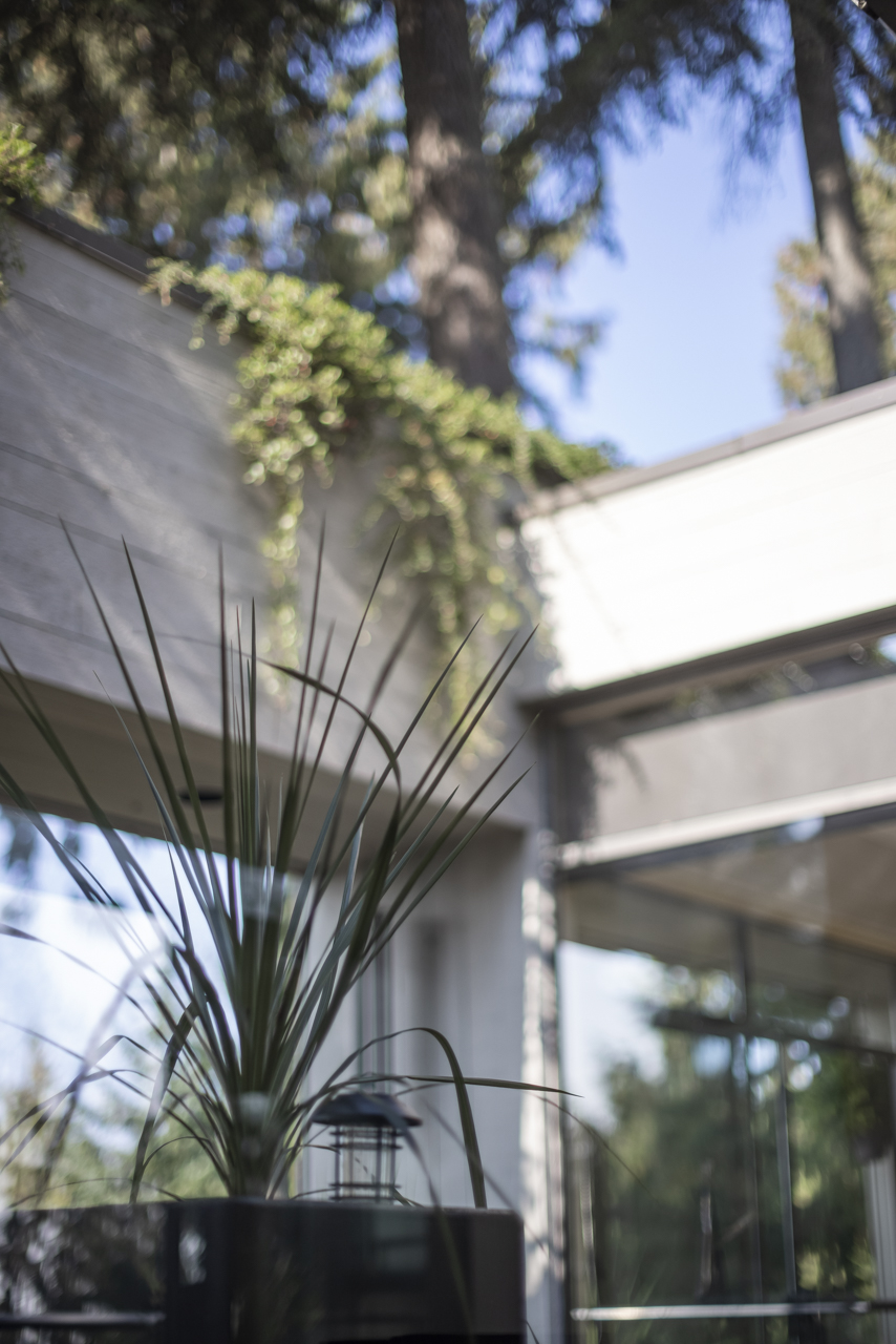 5341 Montiverdi Place, West Vancouver 56