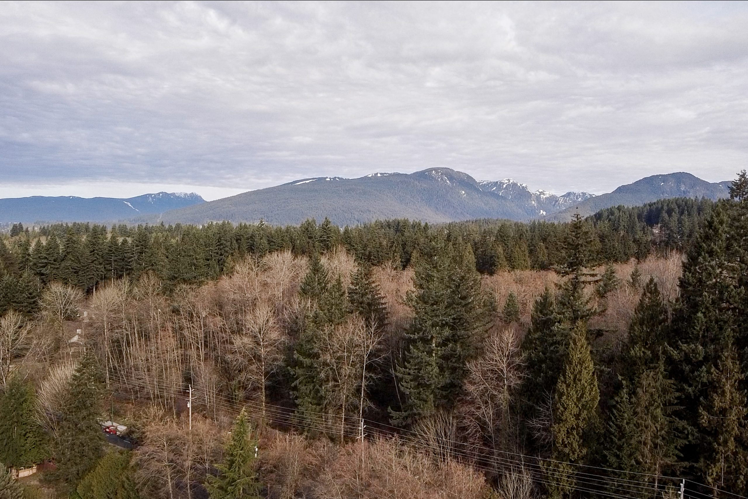 3083 Plymouth Drive, North Vancouver 57
