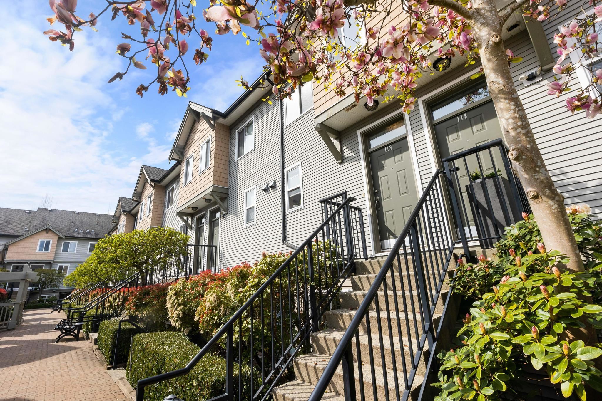 #113 4238 ALBERT STREET, BURNABY