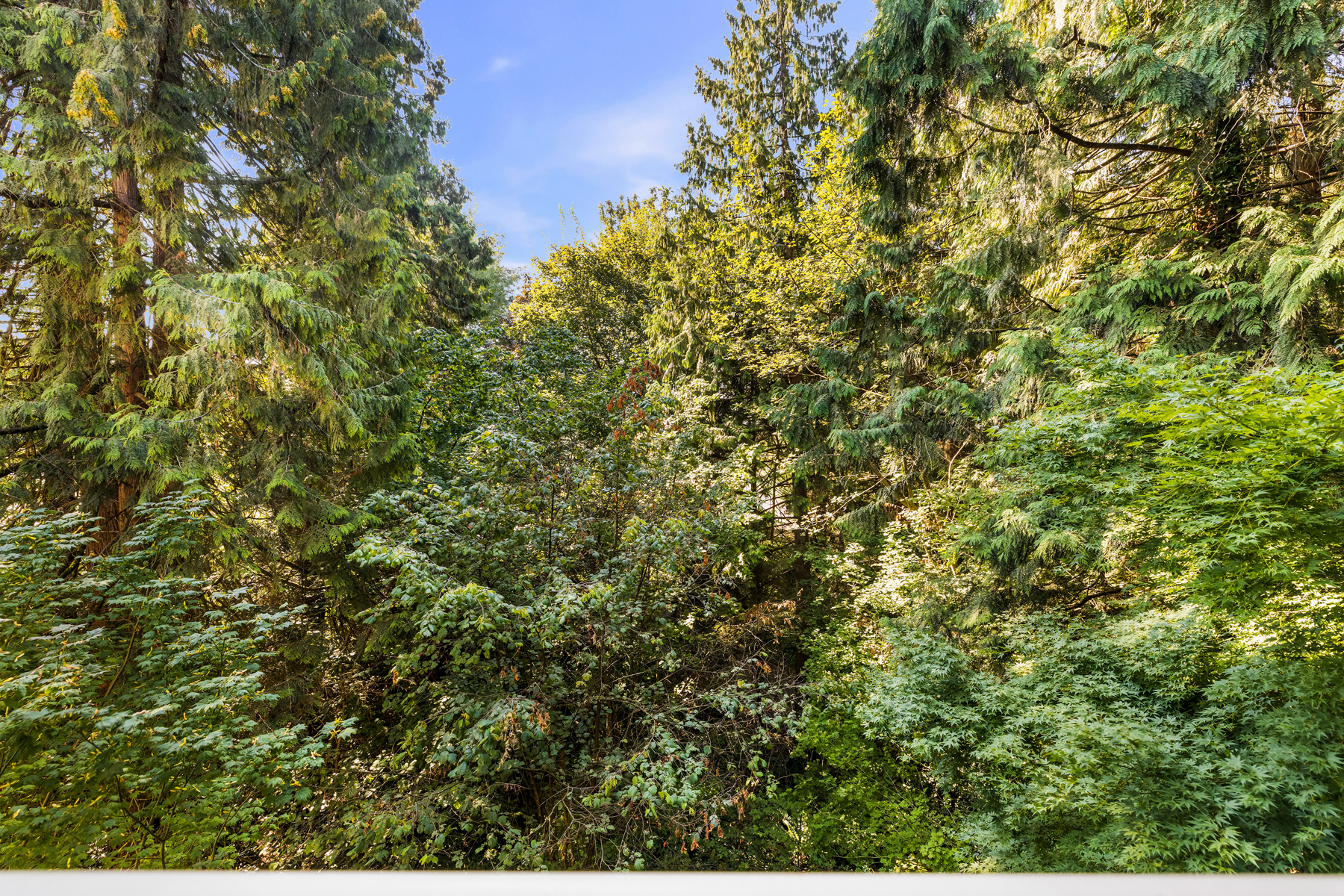 412-2059 Chesterfield Avenue, North Vancouver 14